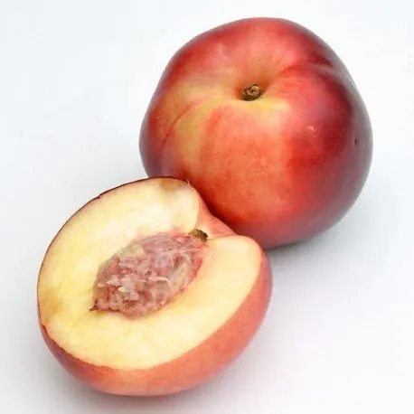 nectarose